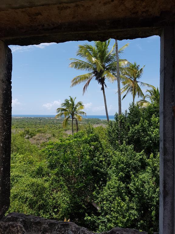 Karina Estudio Praia do Forte Exterior photo