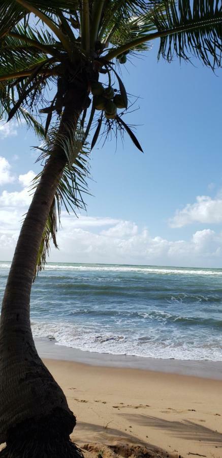 Karina Estudio Praia do Forte Exterior photo